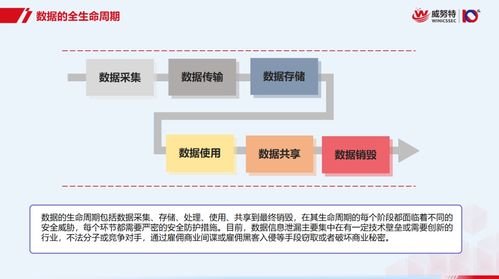 數(shù)據(jù)處理安全無憂 從零基礎(chǔ)到精通的全生命周期防護秘籍